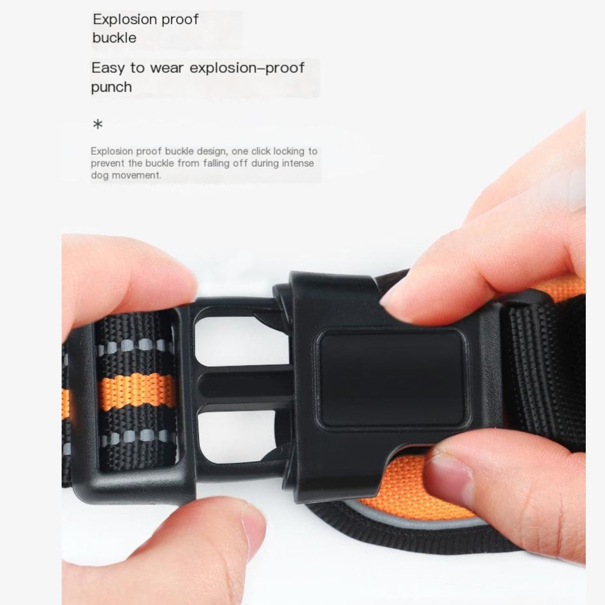 Reflective-Training-Dog-Harness-Leash-Set.jpg