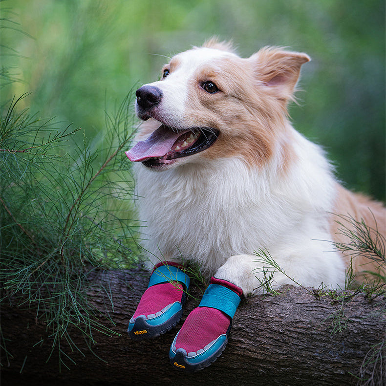 Reflective-Vibram-Sole-Dog-Boots.jpg