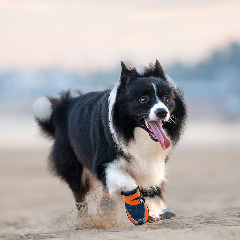 Reflective-Vibram-Sole-Dog-Boots.jpg