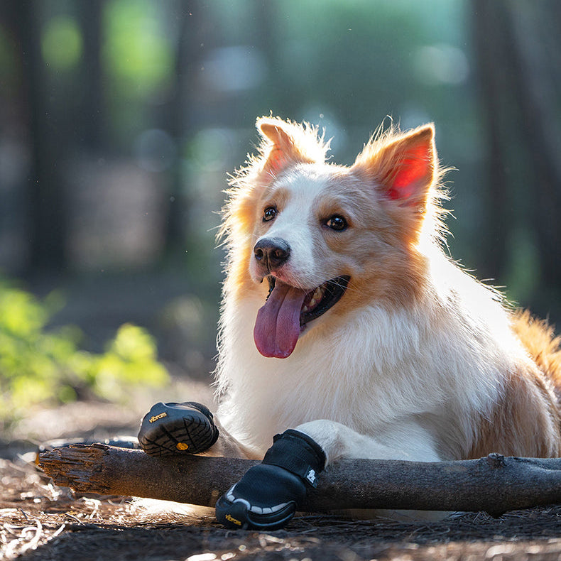 Reflective-Vibram-Sole-Dog-Boots.jpg