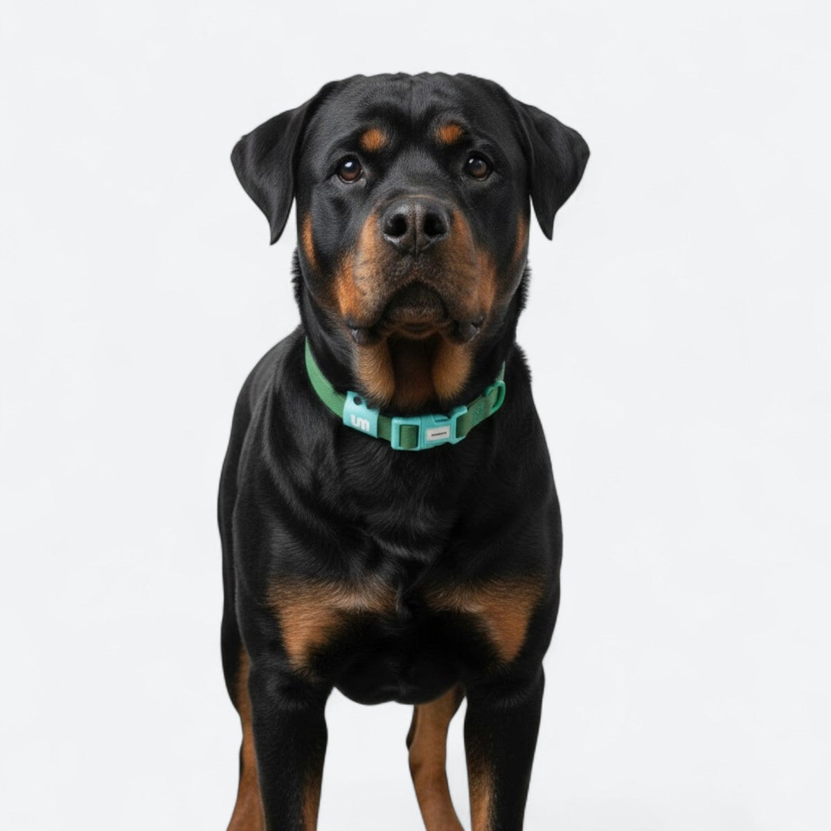 Reflective-Waterproof-Dog-Collar.jpg