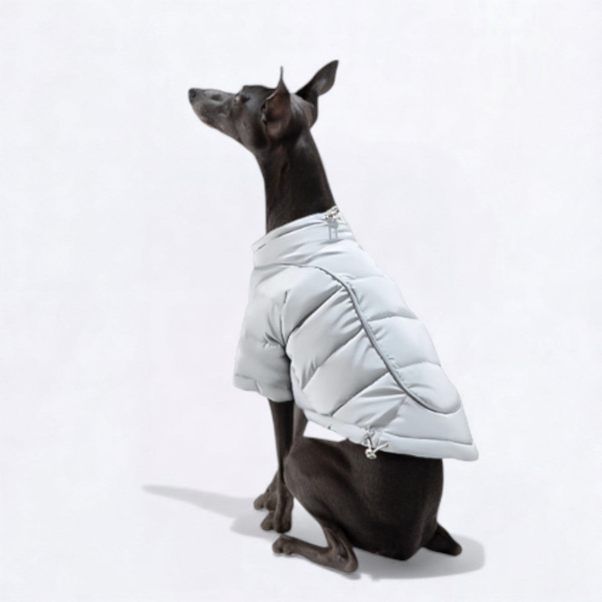 Reflective-Winter-Puffer-Dog-Jacket.jpg