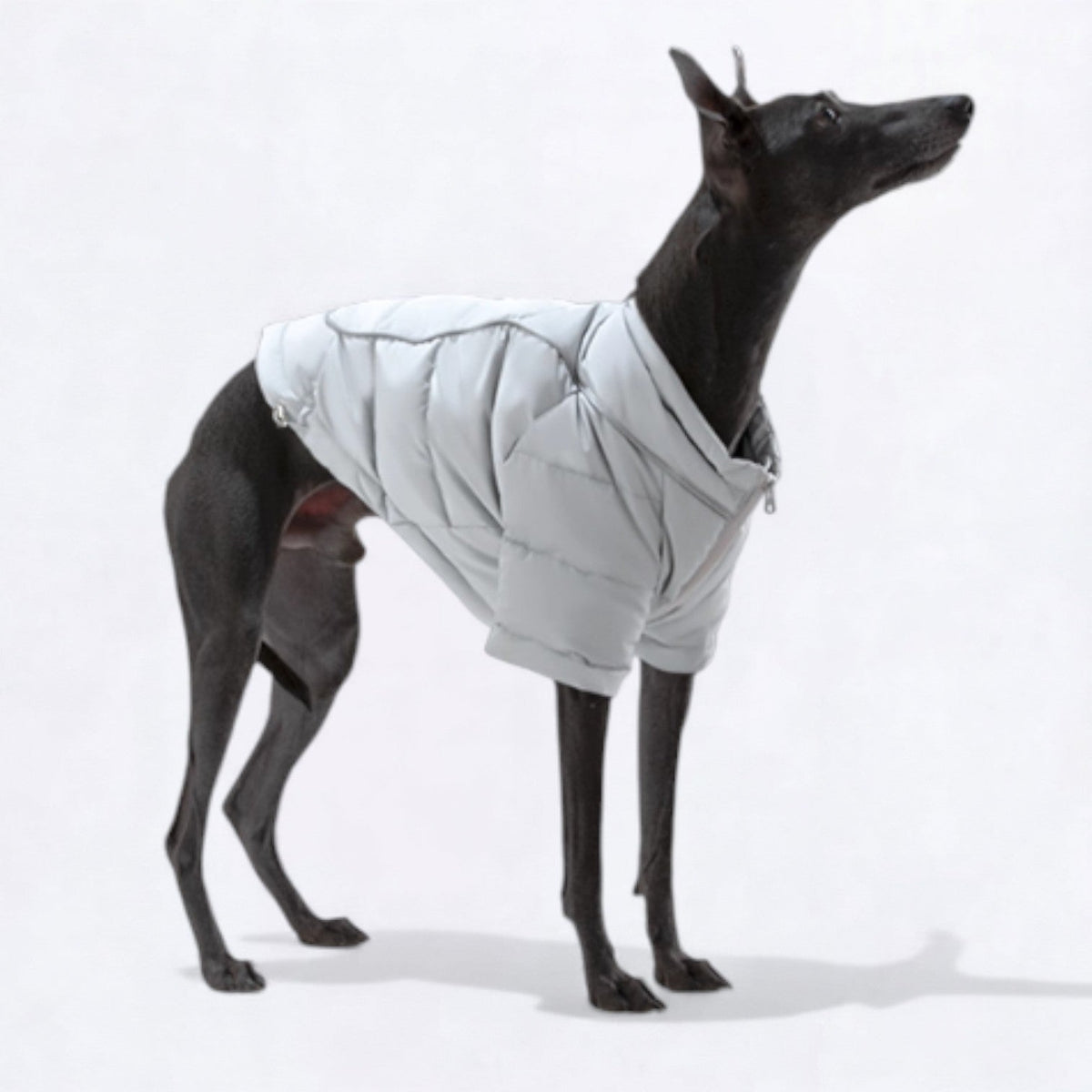 Reflective-Winter-Puffer-Dog-Jacket.jpg