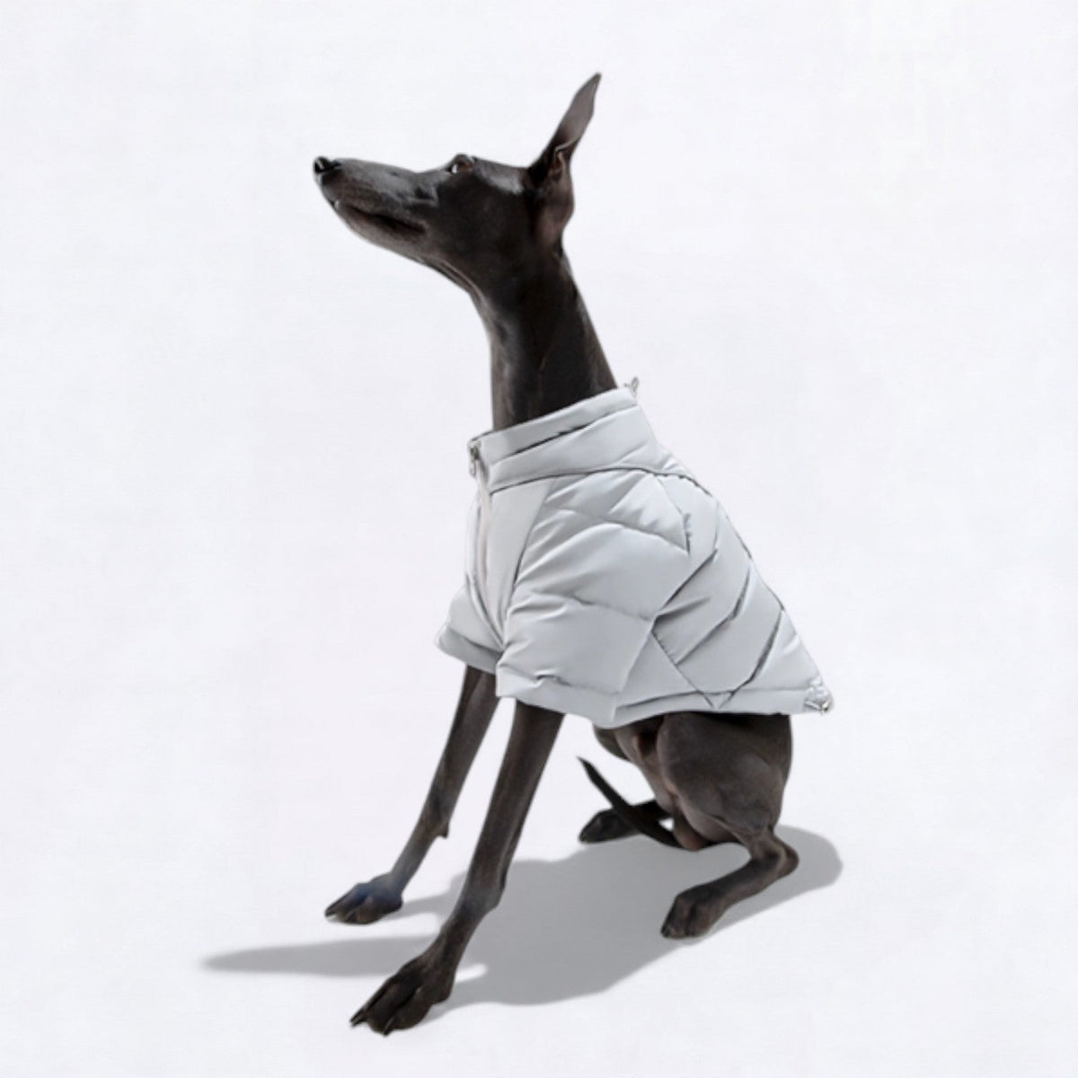Reflective-Winter-Puffer-Dog-Jacket.jpg