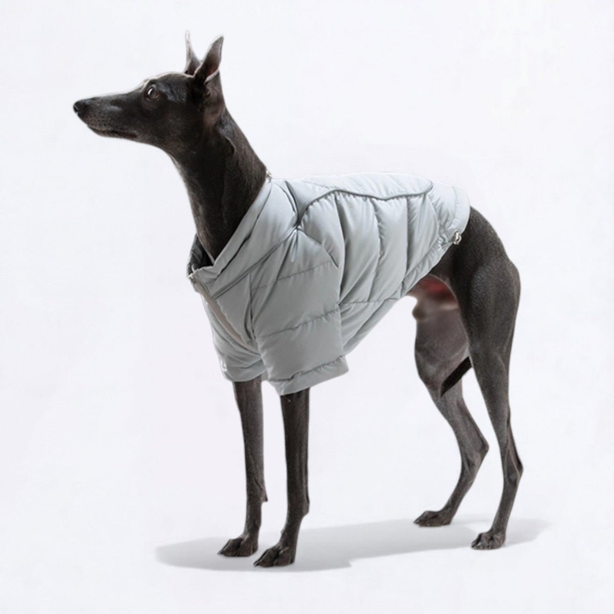 Reflective-Winter-Puffer-Dog-Jacket.jpg