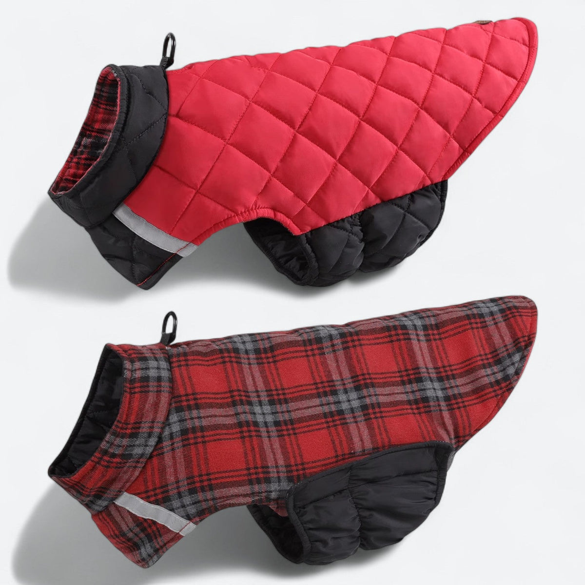 Dog wearing a reversible winter jacket
