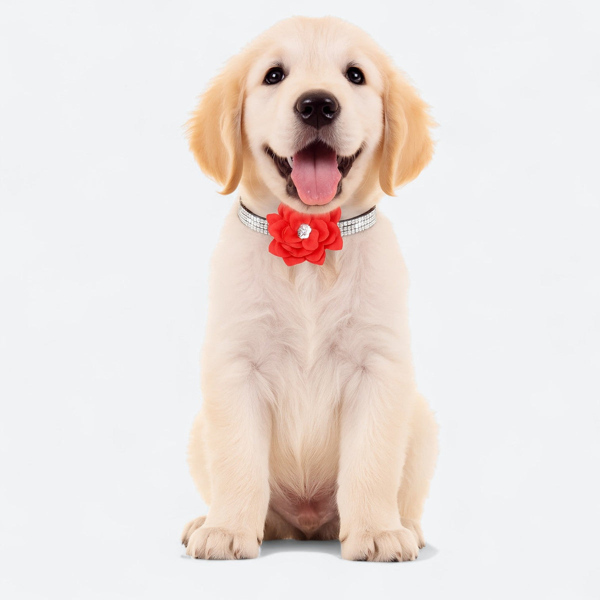 Rhinestone-Flower-Dog-Collar.jpg