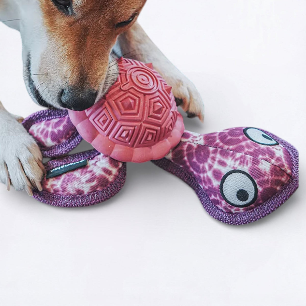 Rubber-Tibetan-Turtle-Dog-Toy.jpg