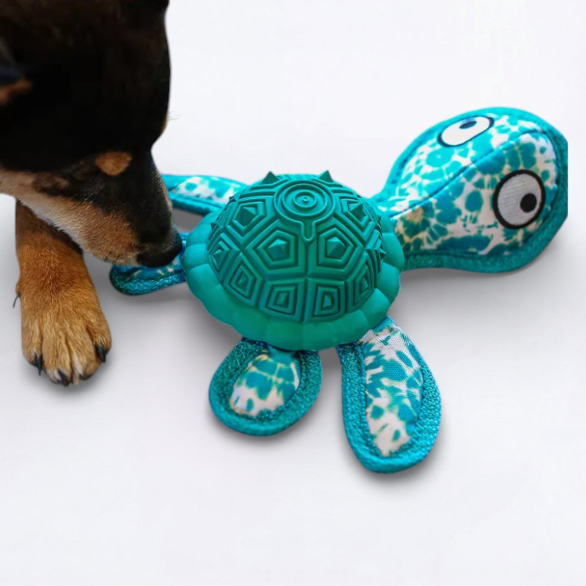 Rubber-Tibetan-Turtle-Dog-Toy.jpg