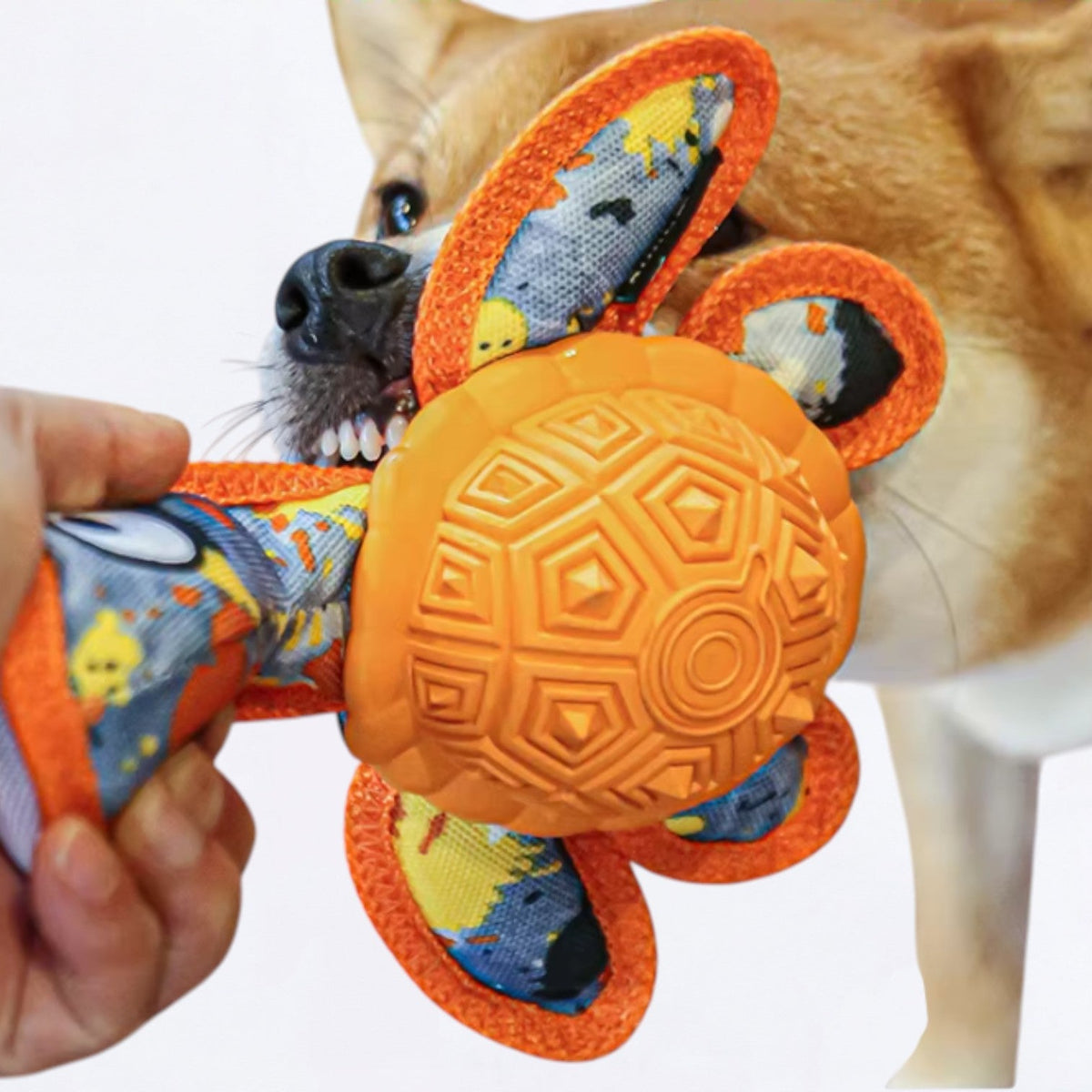 Rubber-Tibetan-Turtle-Dog-Toy.jpg