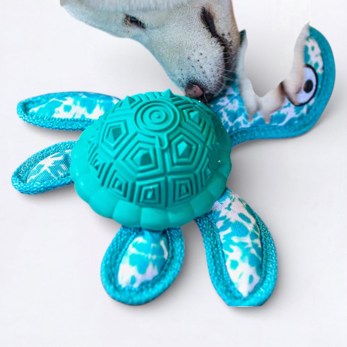 Rubber-Tibetan-Turtle-Dog-Toy.jpg