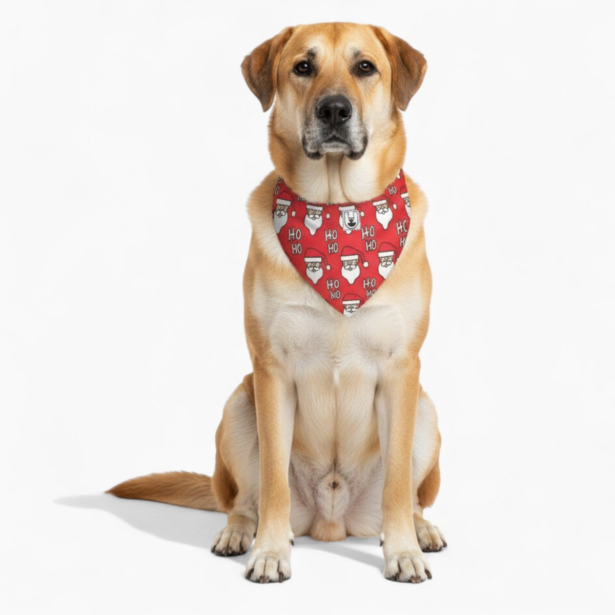 Ruby - Stylish Dog Bandana