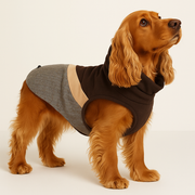 Dog wearing a sleeveless winter coat