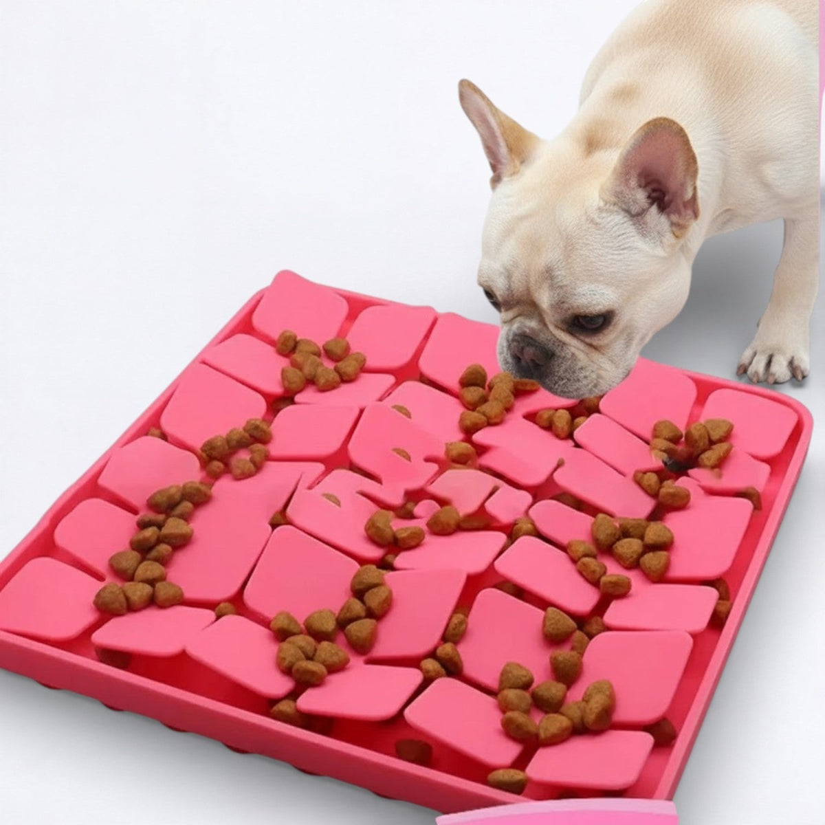Slow-Feeder-Dog-Snuffle-Mat.jpg