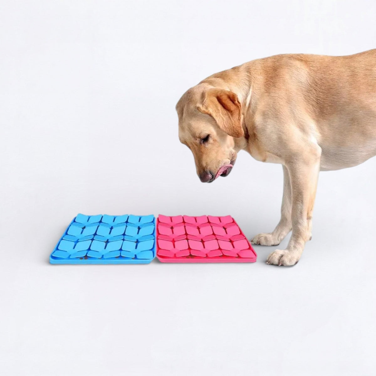 Slow-Feeder-Dog-Snuffle-Mat.jpg