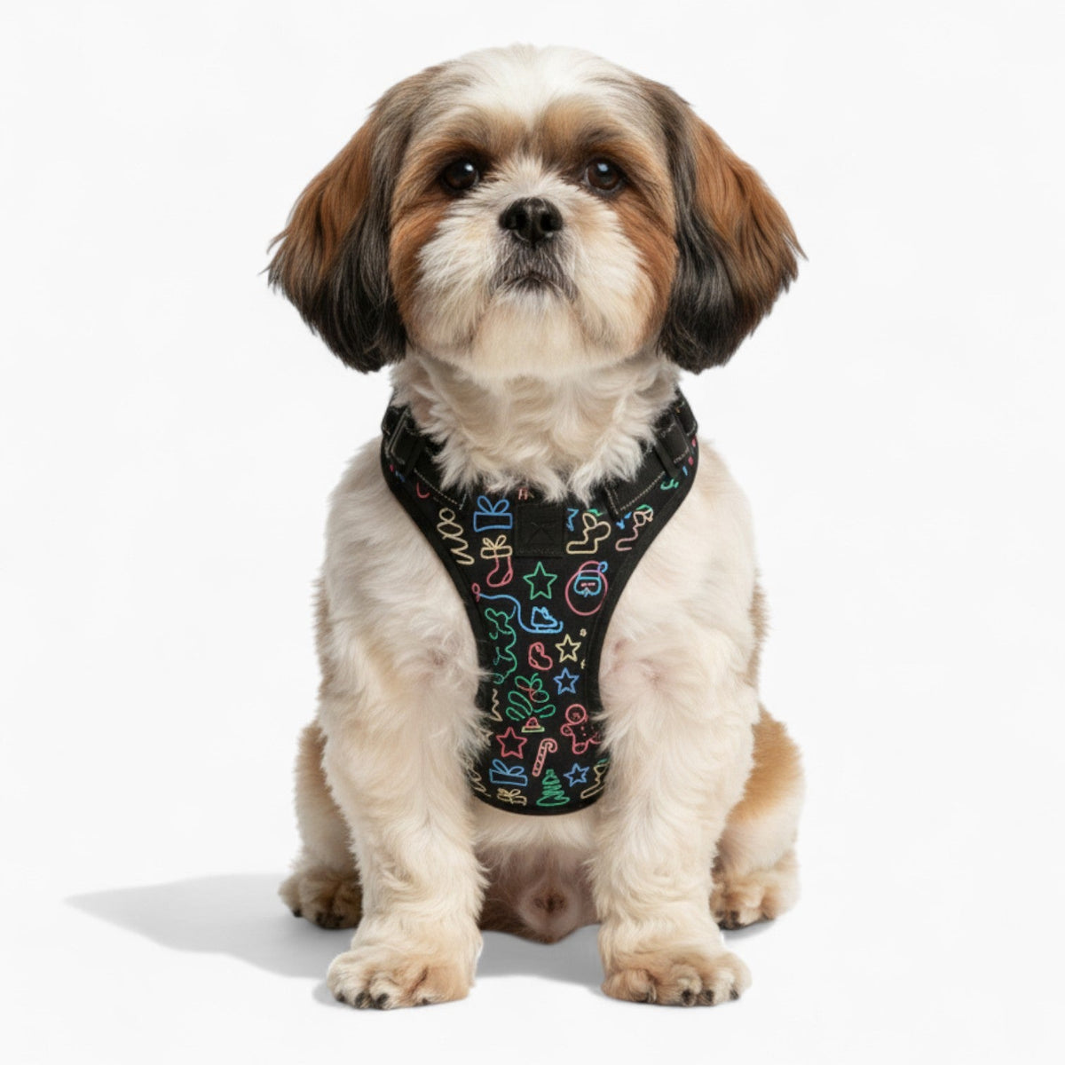 Snoopy no pull dog harness and leash