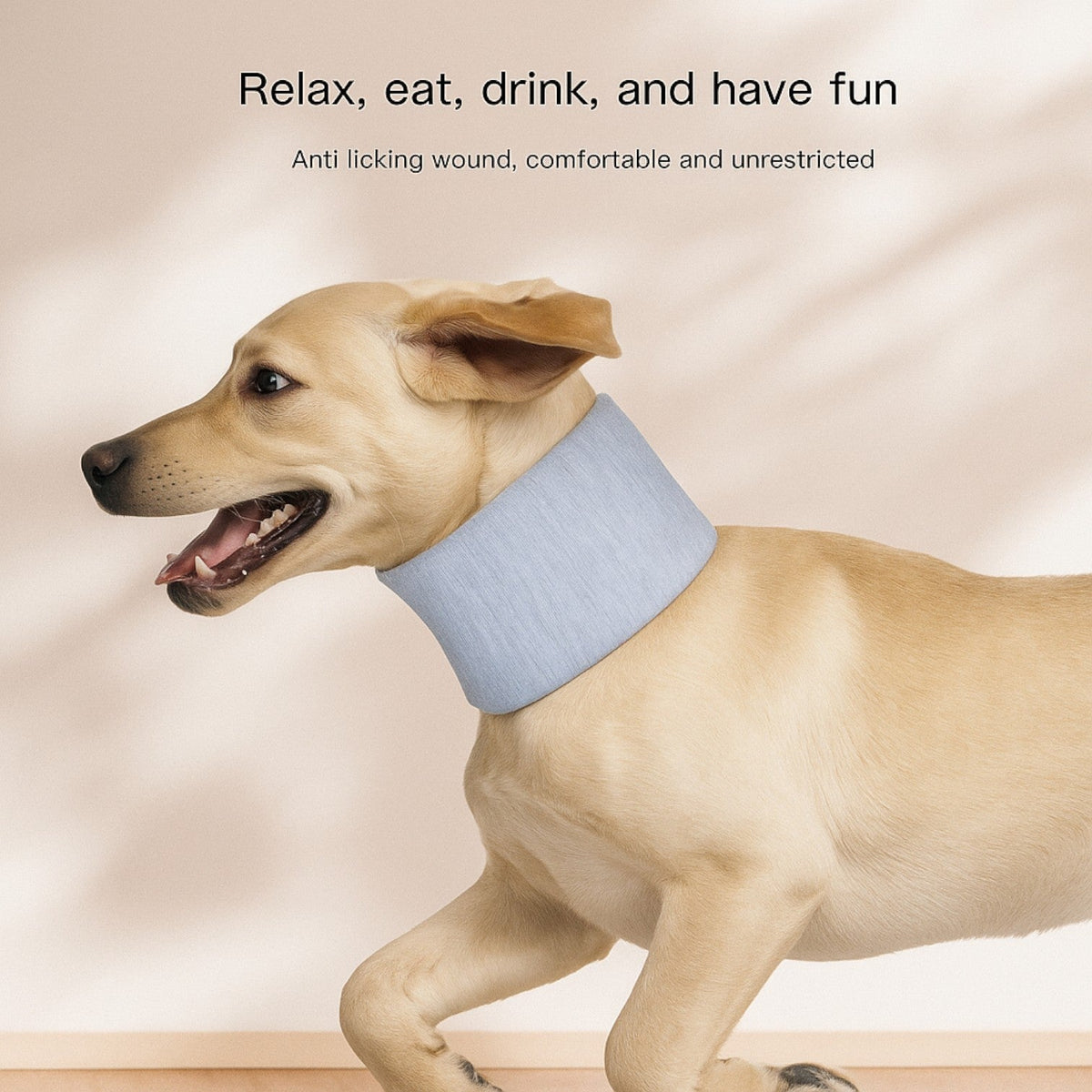 Soft-Anti-Lick-Recovery-Dog-Collar.jpg