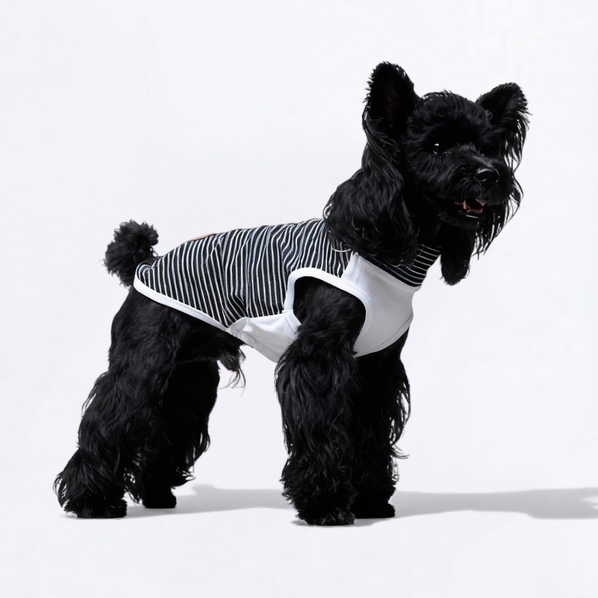 Soft-Base-Layer-Thermal-Dog-Vest.jpg