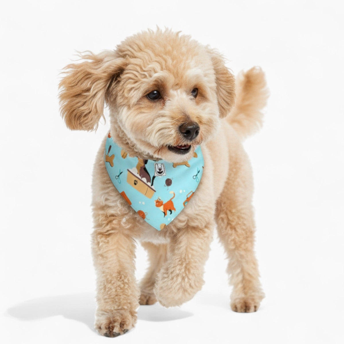 Winnie - Stylish Iggy Bandana