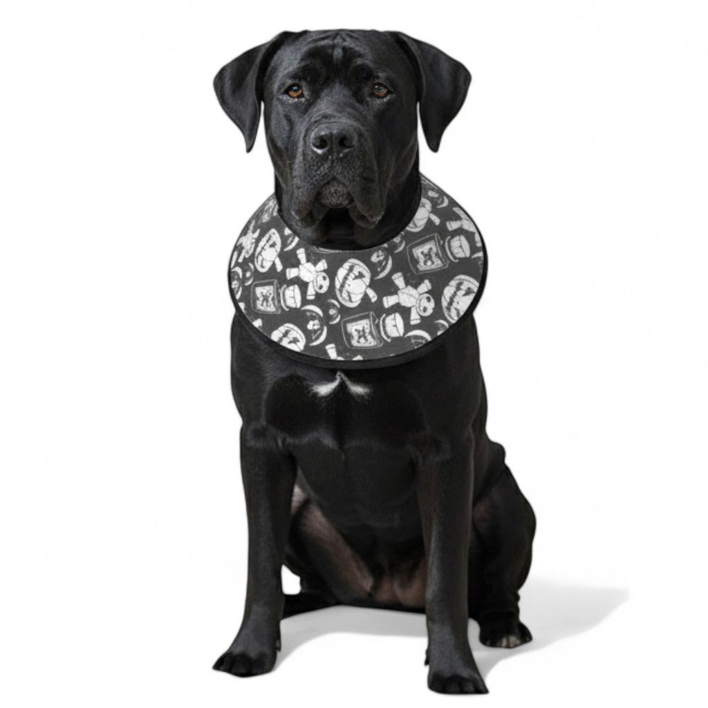 Charlie - Soft Iggy Cone & Elizabethan Collar