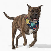 Mocha - Stylish Iggy Bandana