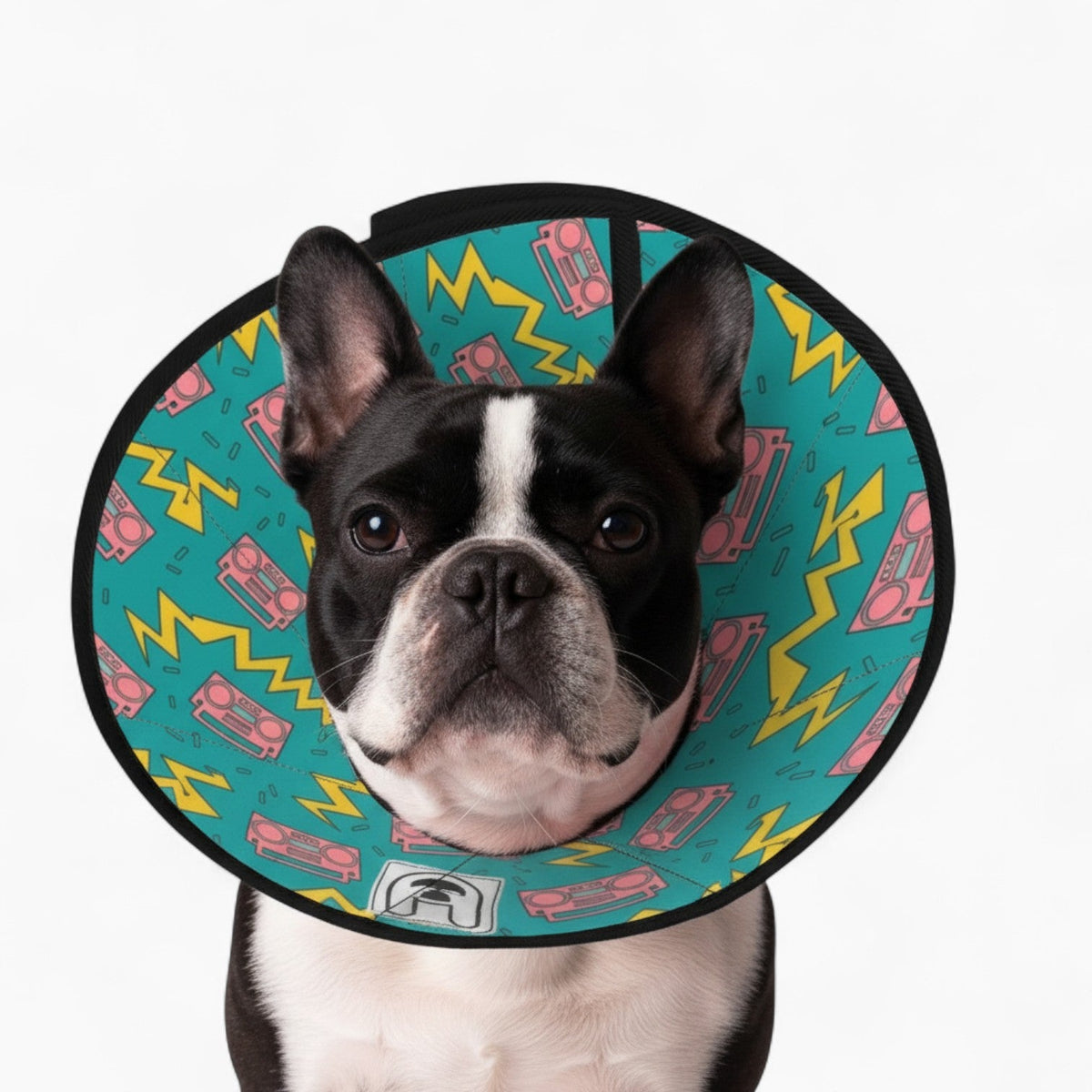 Nala - Soft Iggy Cone & Elizabethan Collar