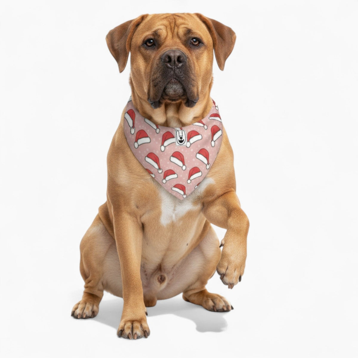 Rossi - Stylish Iggy Bandana