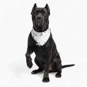 Nico - Stylish Iggy Bandana