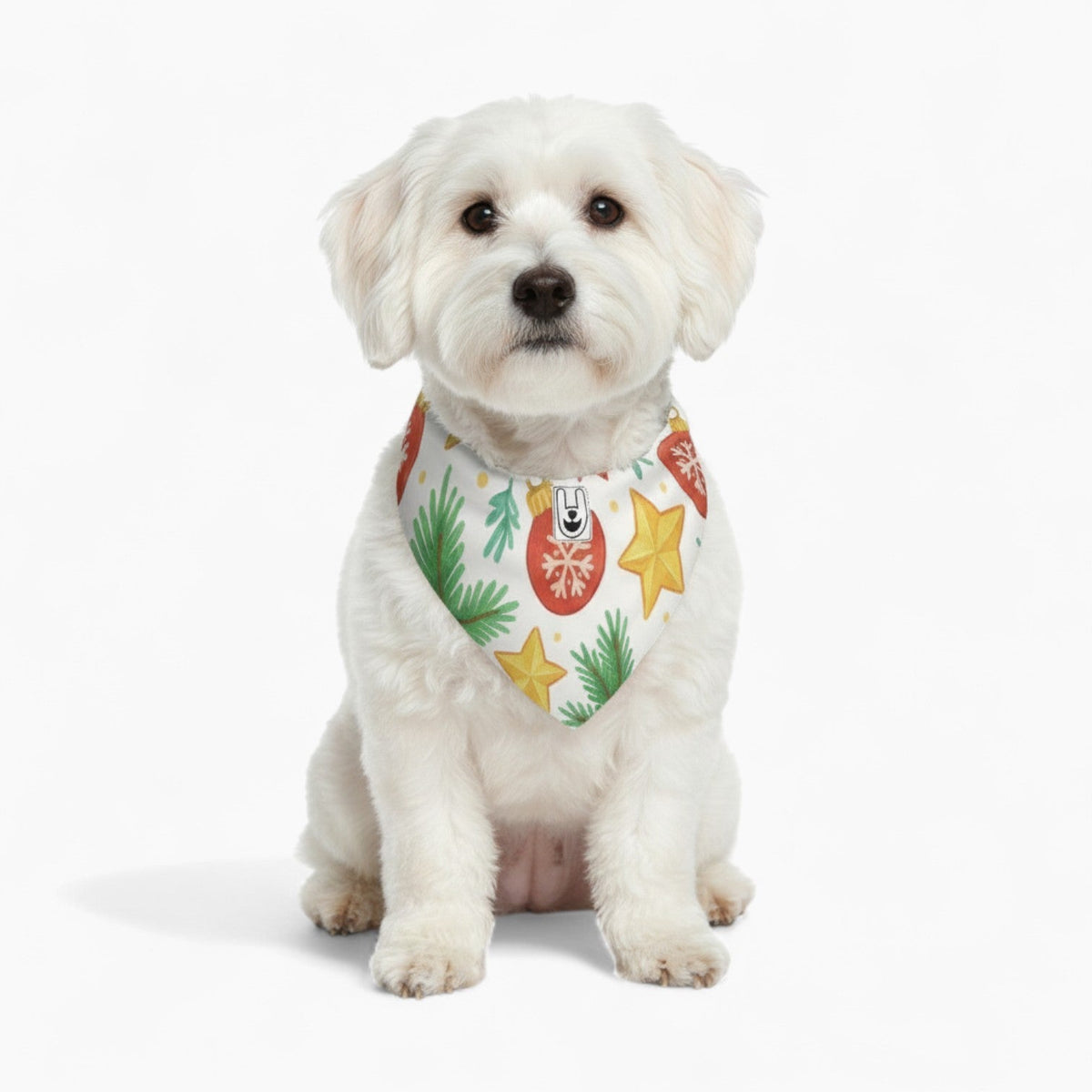 Theo - Stylish Iggy Bandana