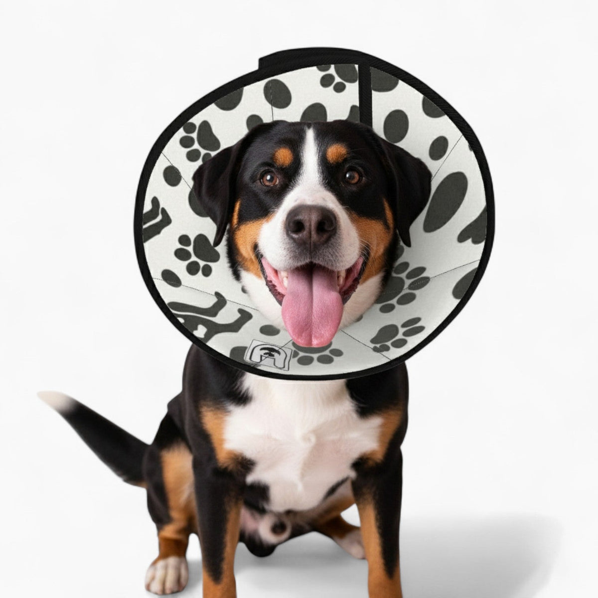 Ellie - Soft Iggy Cone & Elizabethan Collar