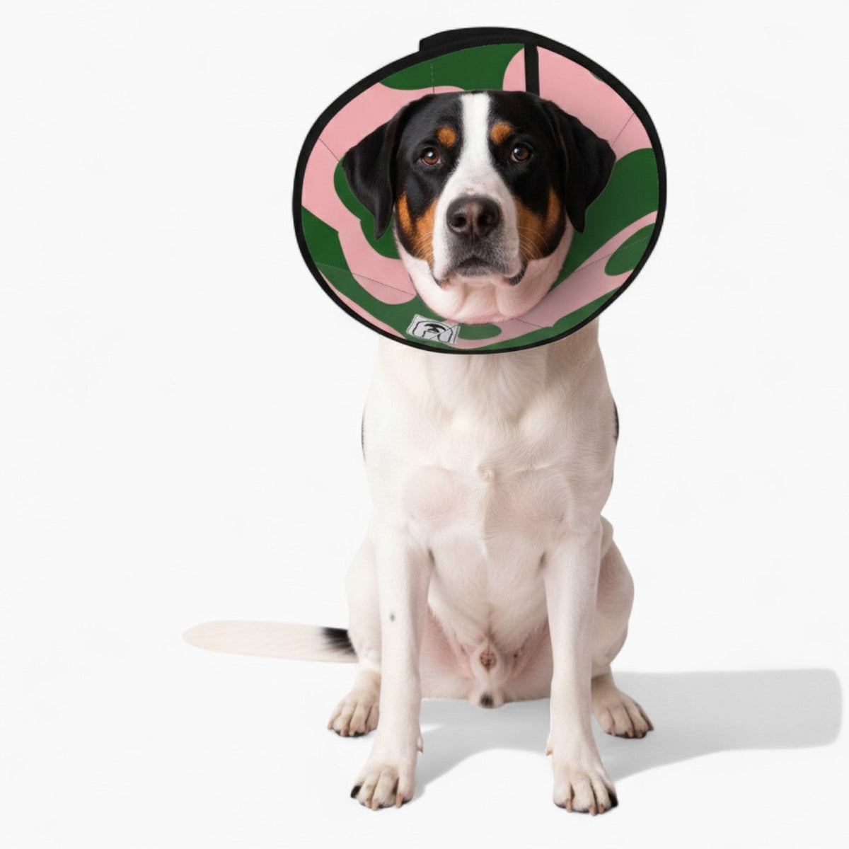 Rosie - Soft Iggy Cone & Elizabethan Collar