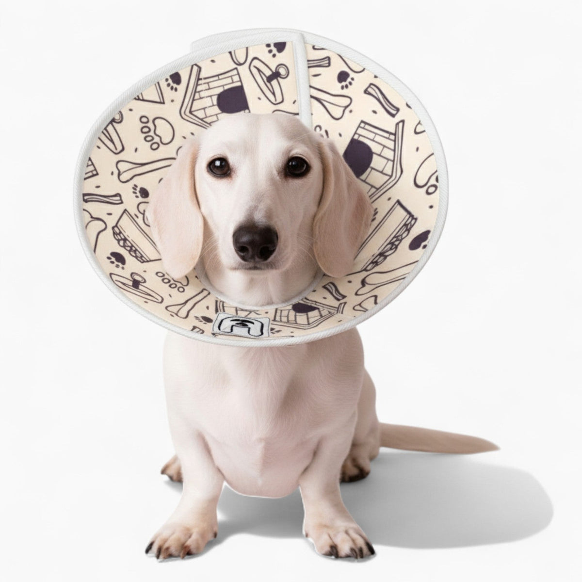 Finn - Soft Iggy Cone & Elizabethan Collar