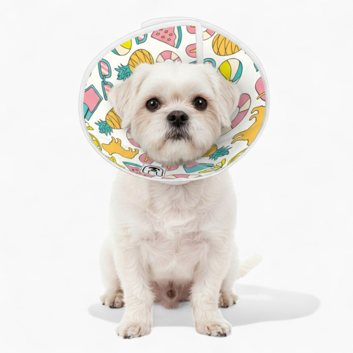 Bailey - Soft Iggy Cone & Elizabethan Collar