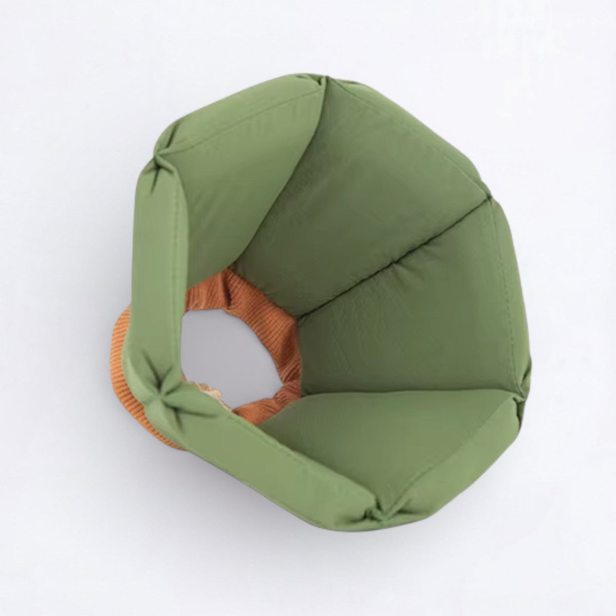 Soft-Inflatable-Recovery-Dog-Cones.jpg