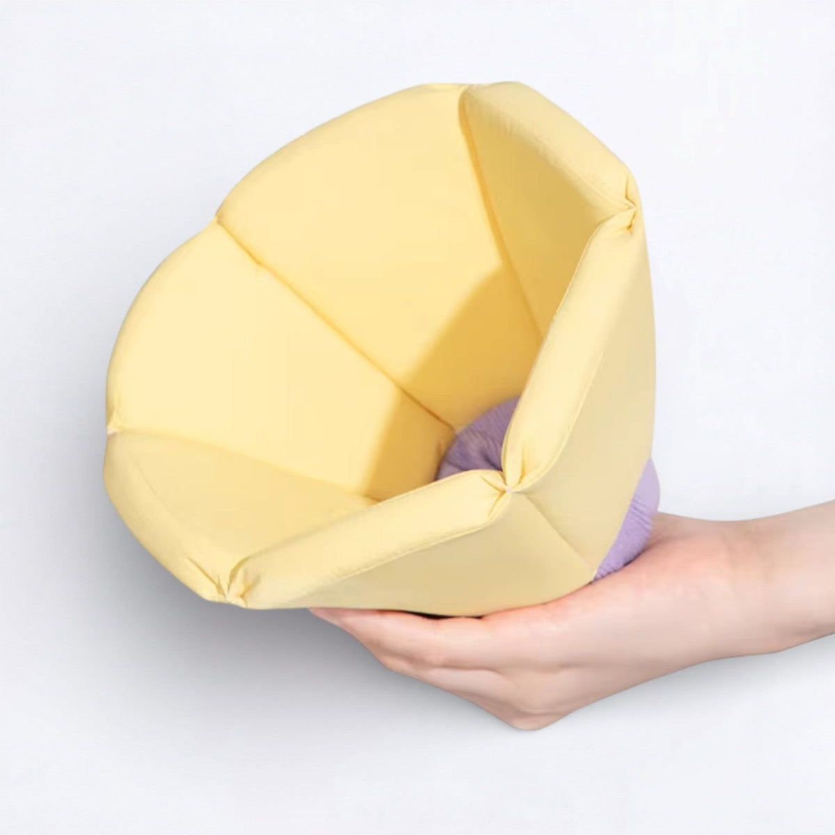 Soft-Inflatable-Recovery-Dog-Cones.jpg