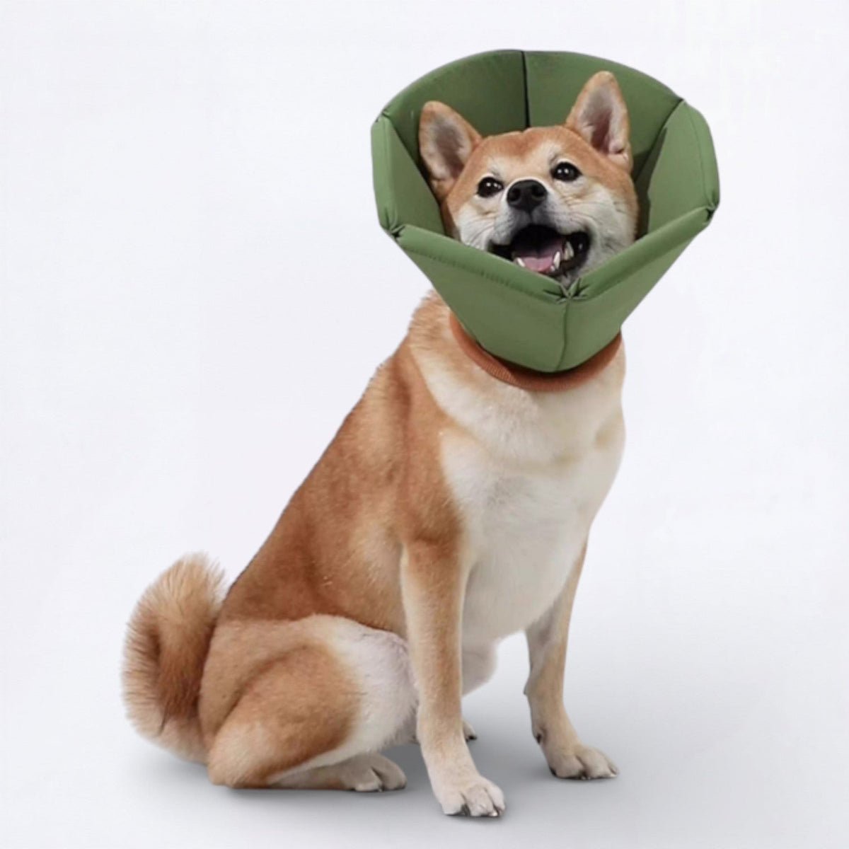 Soft-Inflatable-Recovery-Dog-Cones.jpg