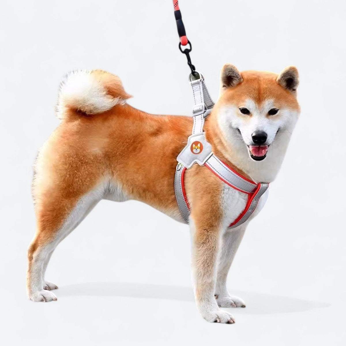 Soft-Padded-Dog-Harness-Leash-Set.jpg