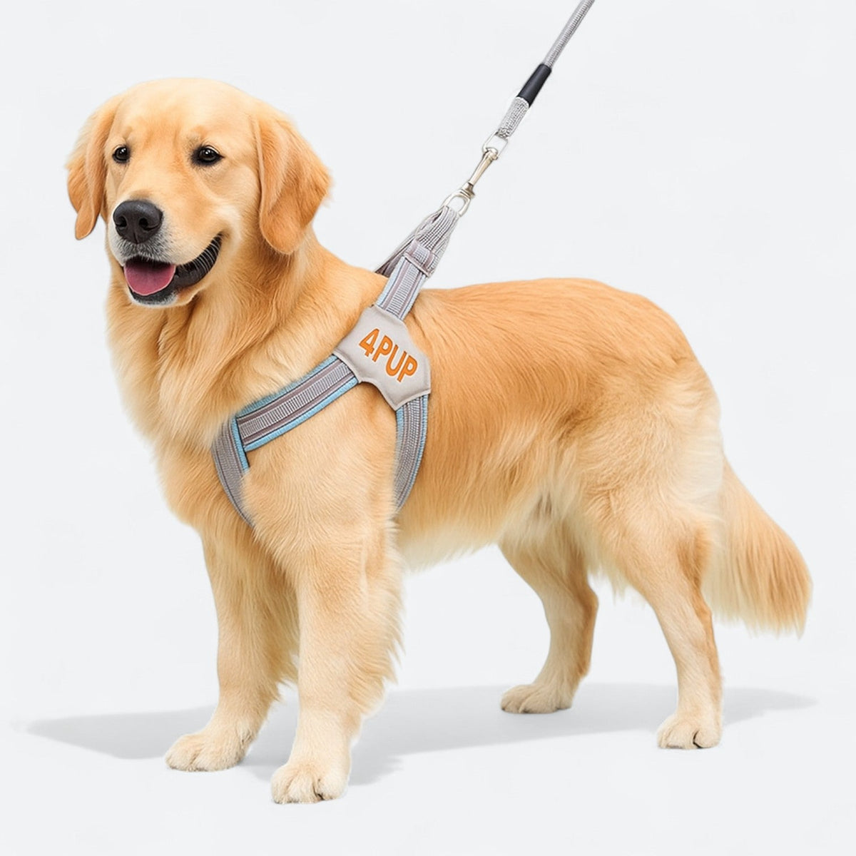 Soft-Padded-Dog-Harness-Leash-Set.jpg
