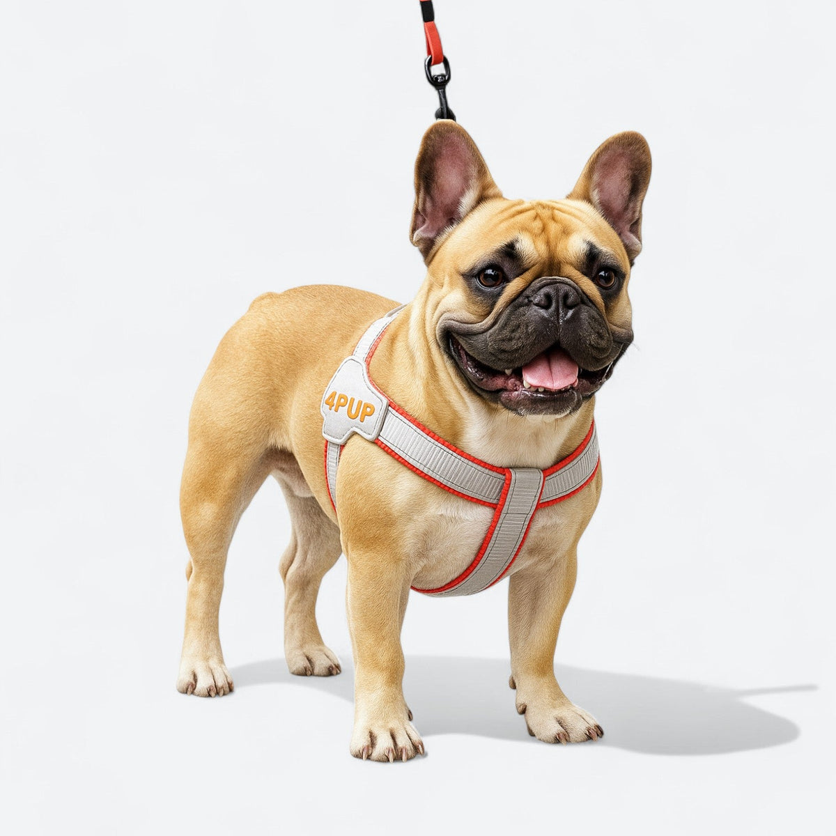 Soft-Padded-Dog-Harness-Leash-Set.jpg