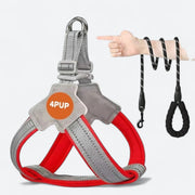 Soft padded dog harness and leash set