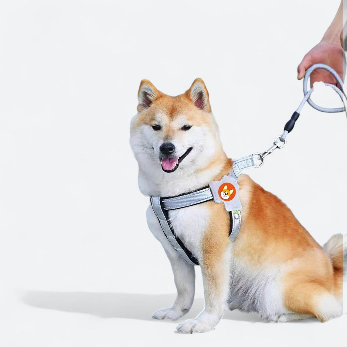 Soft-Padded-Dog-Harness-Leash-Set.jpg