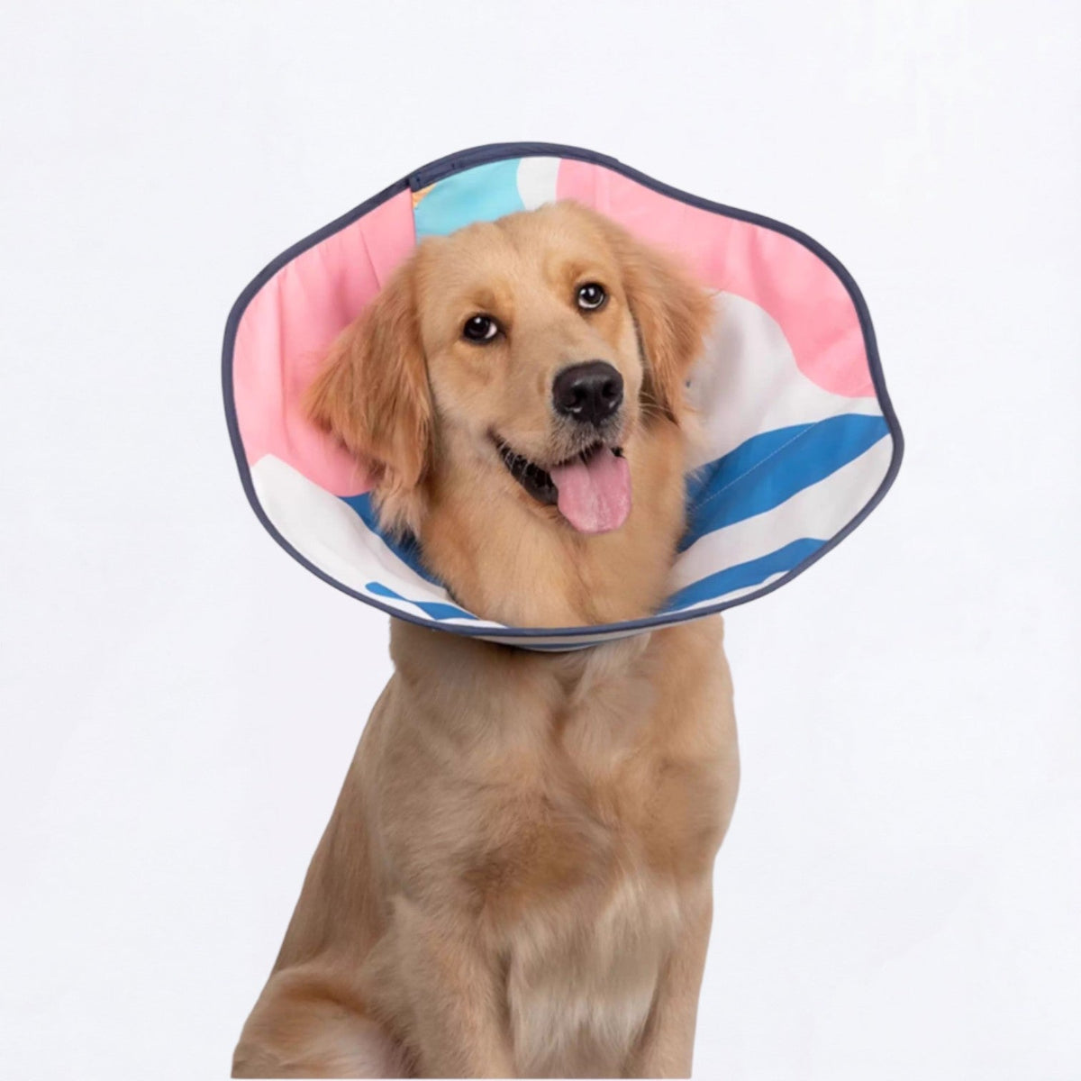 Soft-Recovery-Elizabethan-Dog-Cone.jpg