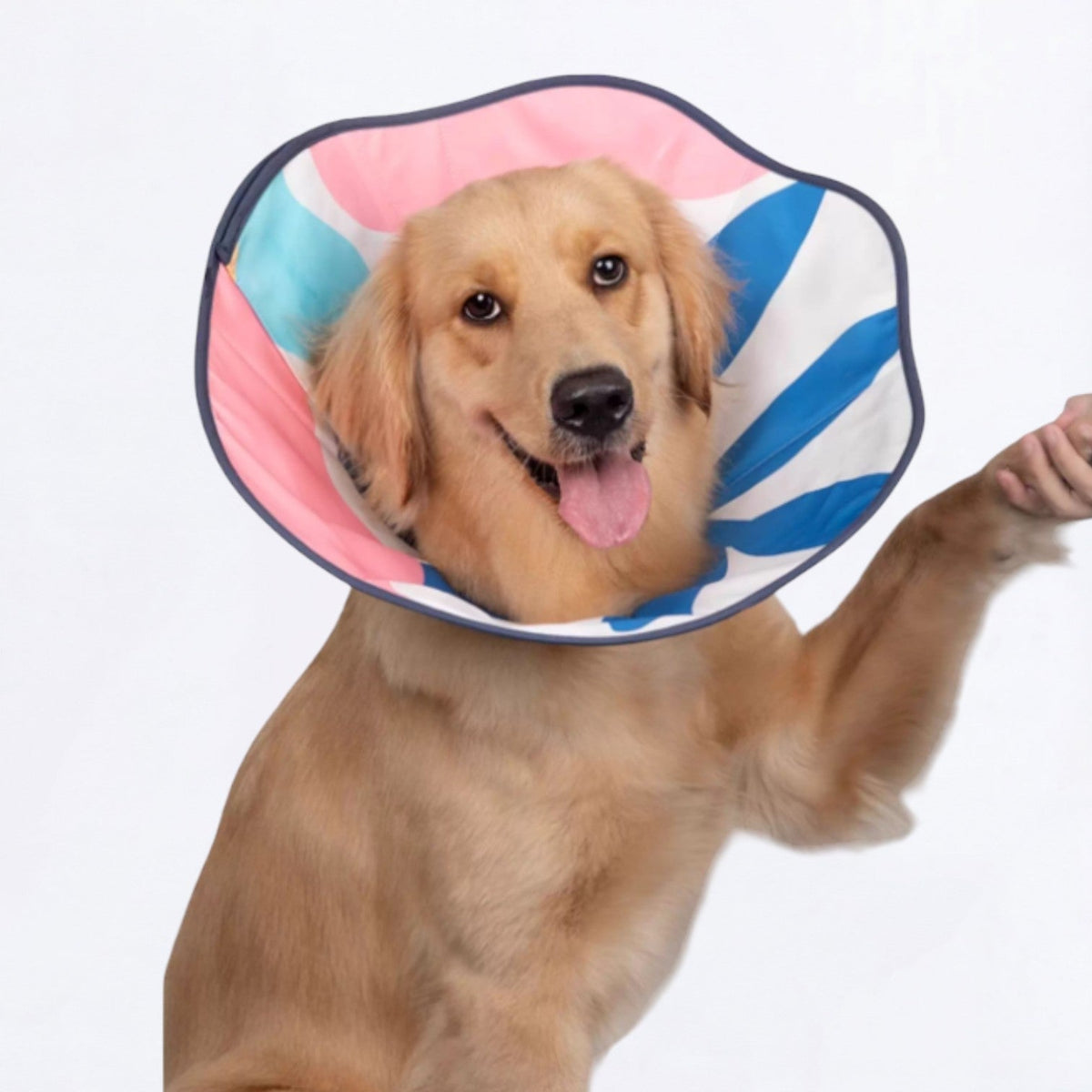 Soft-Recovery-Elizabethan-Dog-Cone.jpg