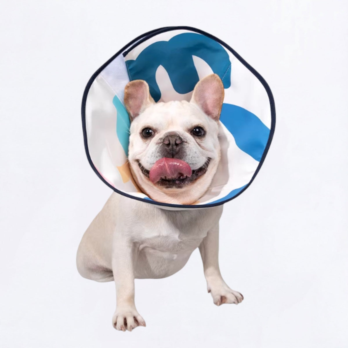Soft-Recovery-Elizabethan-Dog-Cone.jpg