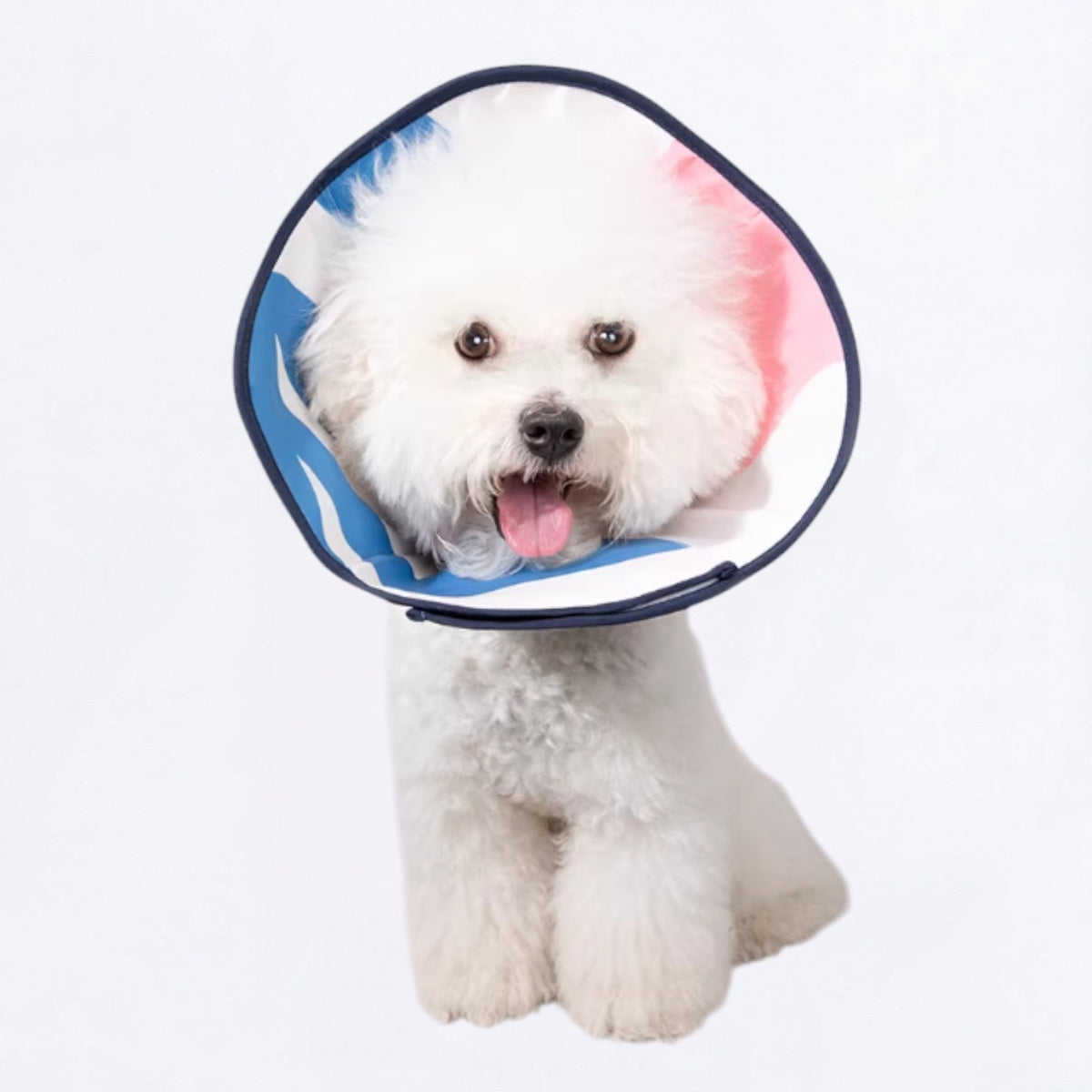 Soft-Recovery-Elizabethan-Dog-Cone.jpg