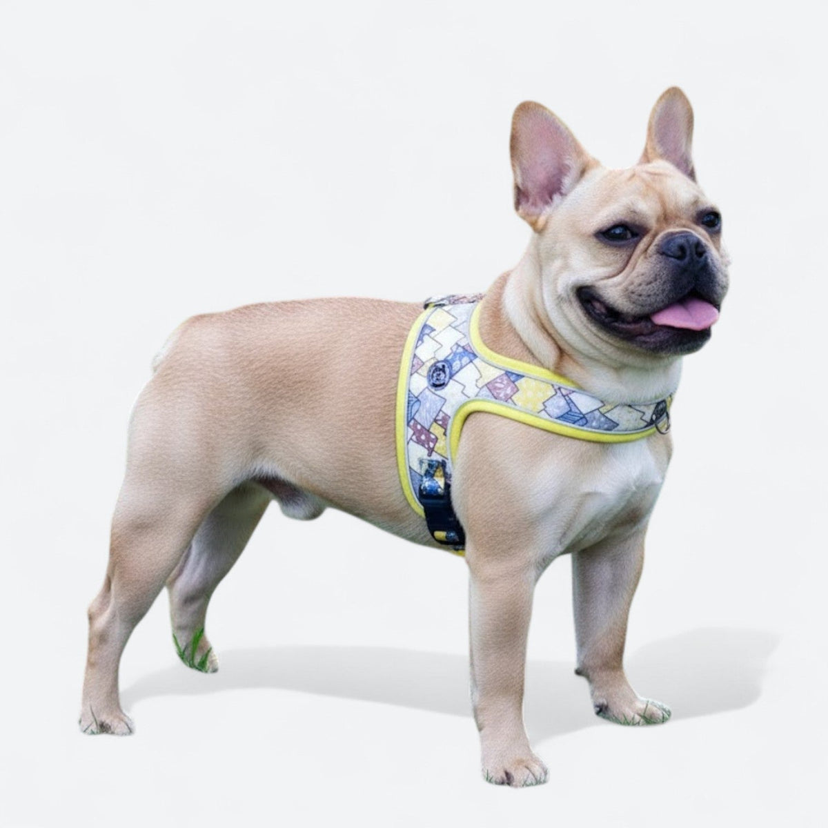 Soft-Saddle-Dog-Harness-Leash-Set.jpg