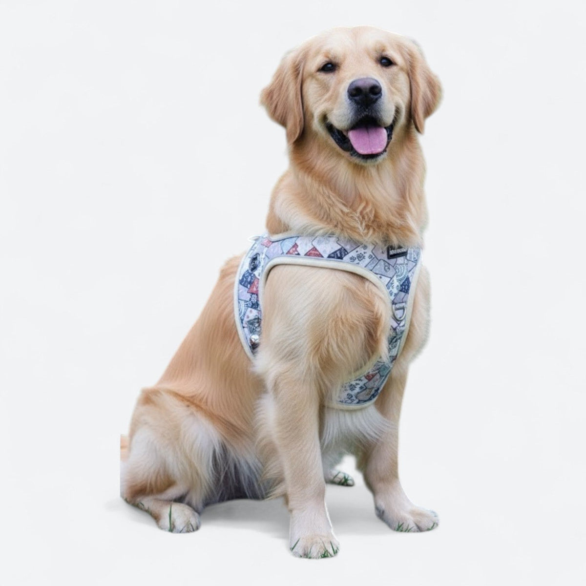Soft-Saddle-Dog-Harness-Leash-Set.jpg