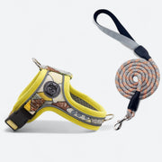Soft saddle dog harness and leash set