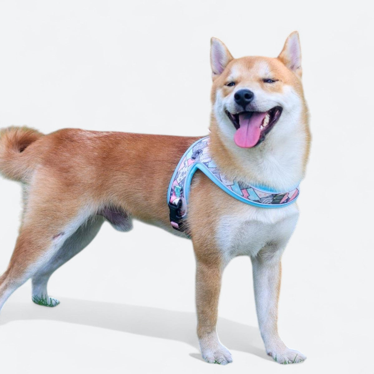 Soft-Saddle-Dog-Harness-Leash-Set.jpg