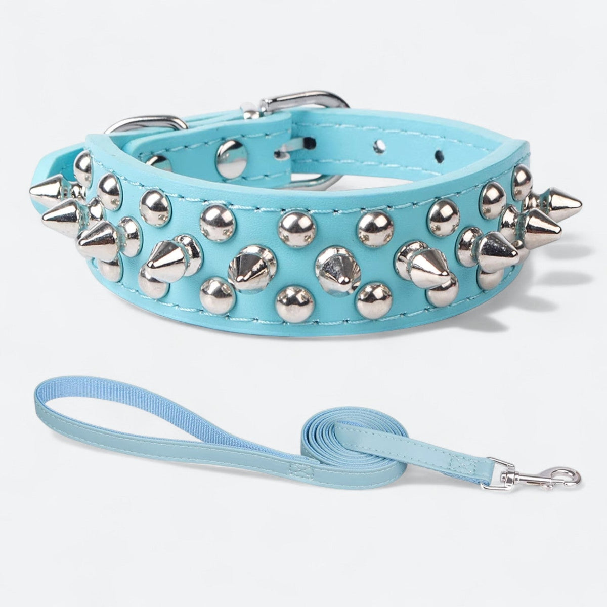 Spiked leather dog collar and leash set